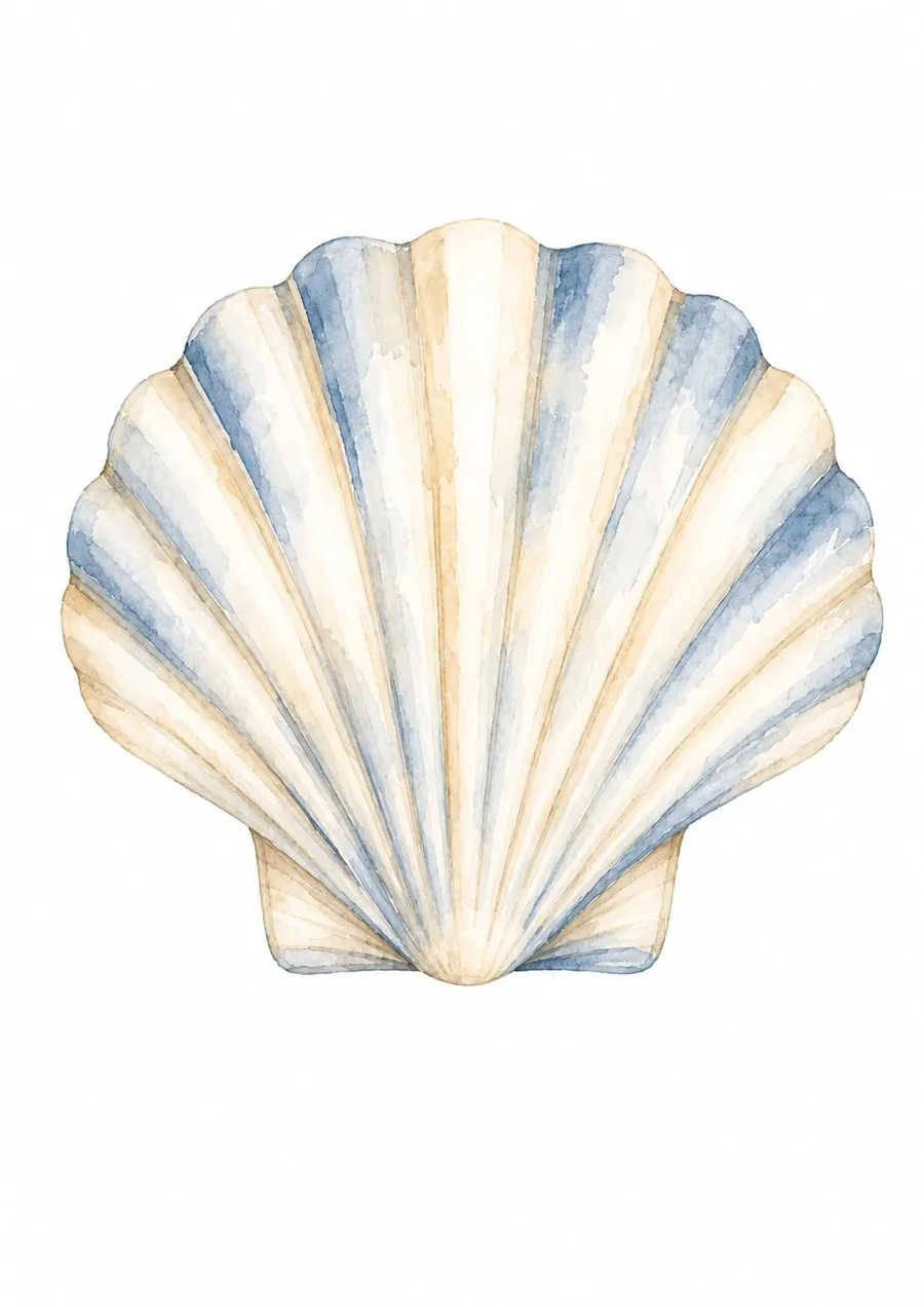 Concha de vieira en acuarela con gajos anchos alternados en azul y crema, sobre fondo blanco.
